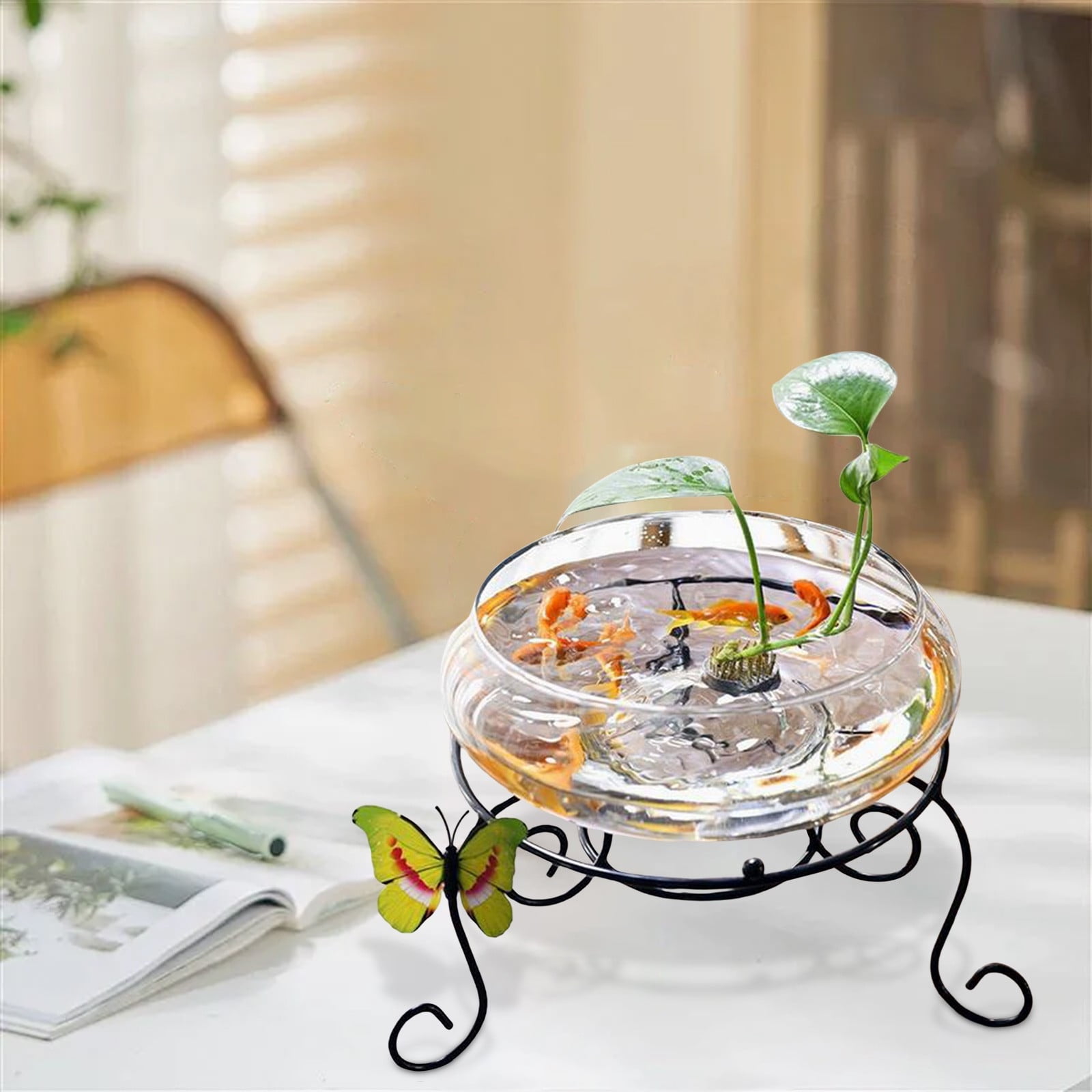 Hydroponic Glass Fish Tank, Large Turtle Bowl Vase, Transparent Water Vessel for Aquatic Plants, Copper Coin Grass Pot, Narcissus Planter