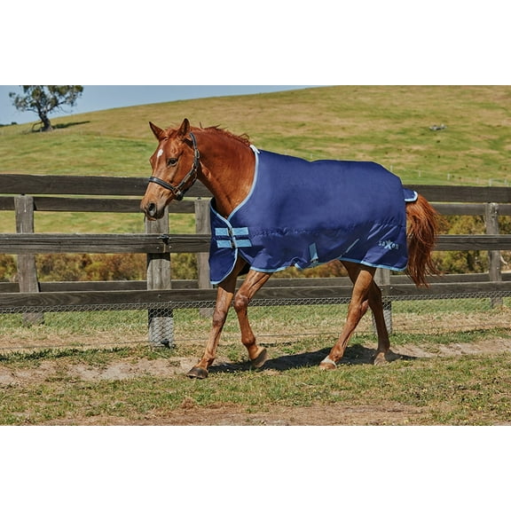 Saxon 600D Standard Neck Medium Turnout Blanket (Navy/Light Blue, 84")