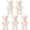 5Pcs-Beige, variant on 17.7'' Teddy Bear Small Teddy Bear Stuffed Animals