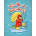 thumbnail image 2 of What Kind of Weather? (Early Childhood Themes), 2 of 2