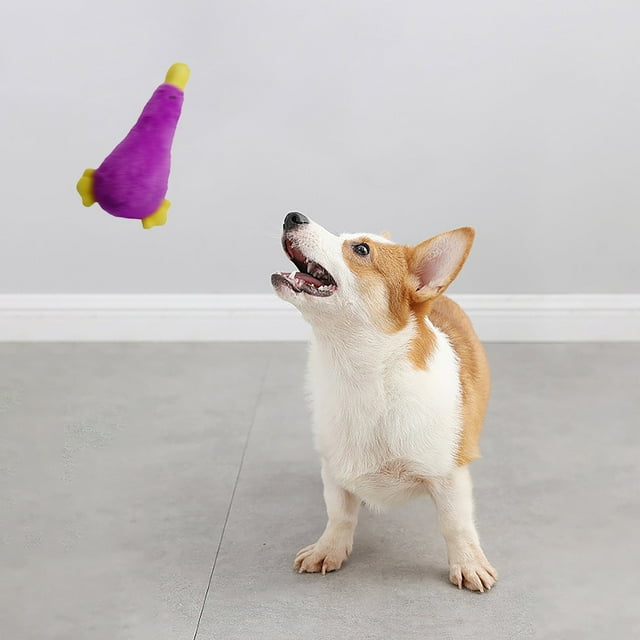 Durable Chew Toys for Dogs Puppy Teething Training Cleaning Interactive Pet Toy Long Lasting Rubber Bone
