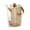 Rose Gold, variant on deevoka Beverage Dispenser with Spigot 5L Juice Water Pitcher for Gathering Weddings