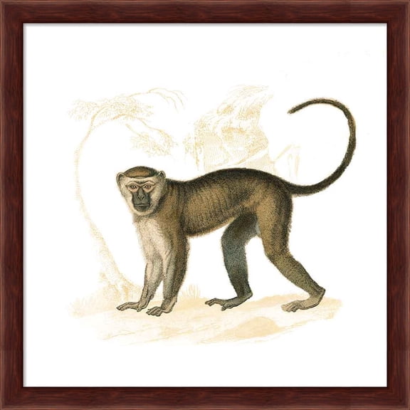 Great Art Now Golden Monkey by Wild Apple Portfolio, Framed Wall Art, 13.25W x 13.25H