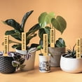 thumbnail image 6 of 15 Pcs Wood Funny Plant Labels 15 Styles Wooden Garden Signs with Funny Words Plants Tags for Indoor Outdoor Flowers Patio Vegetable Gardener Gifts 2.54x15.24cm(1x6 inch) Mixed Color, 6 of 7