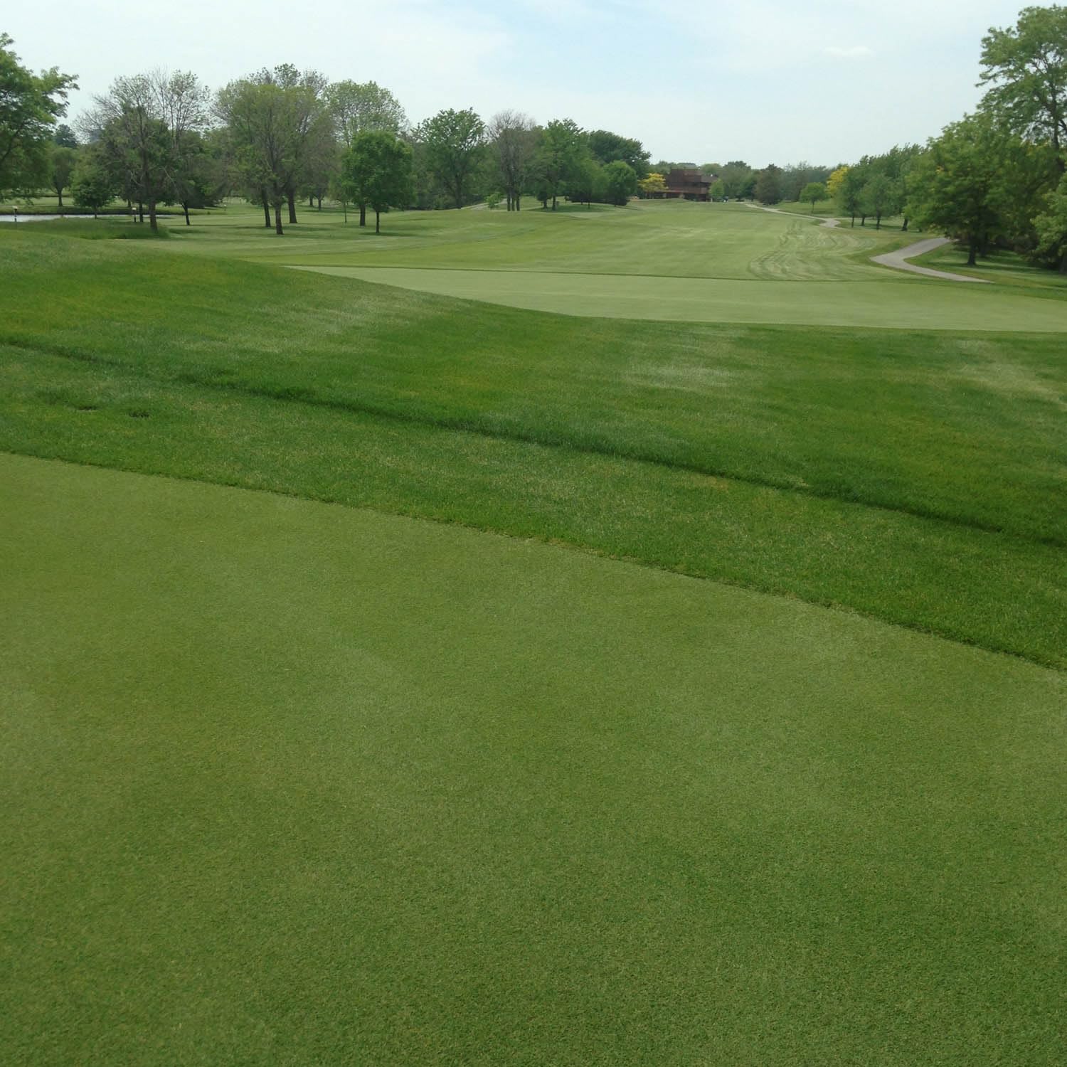 Outsidepride 2 lb. A-List Turf V8 Coated Creeping Bentgrass Seed for Putting Greens, Tees, & Fairways