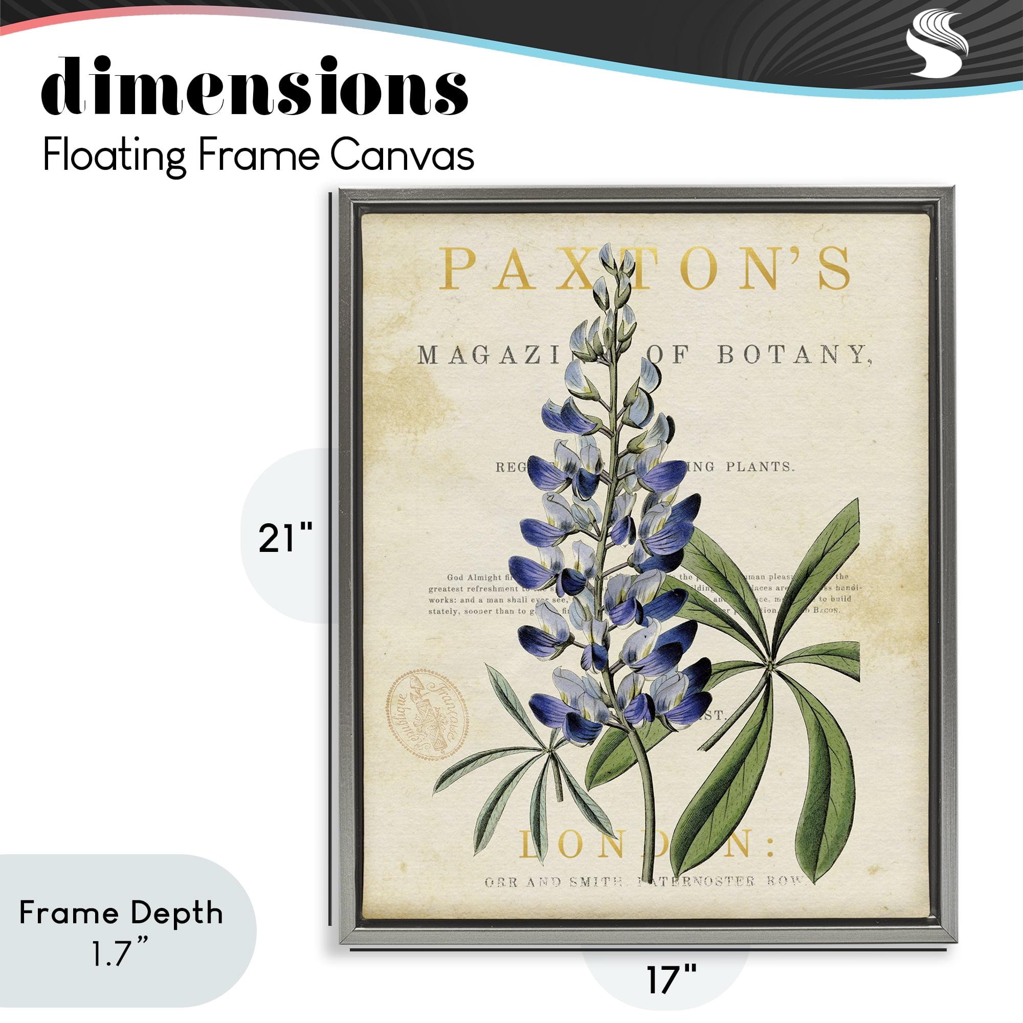 Stupell Industries Natural Botany Lupine Gray Framed Floater Canvas Wall Art, design by Susan Arnot
