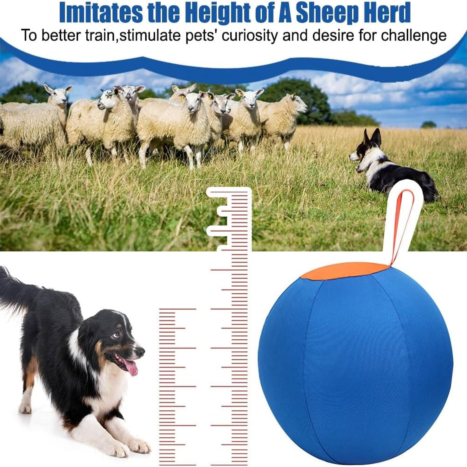 Jumbo Dog Herding Ball Inflatable Giant Dog Toy Durable Anti Tear Calming Exercise Ball with Cover Pump for Large Medium Small Dogs Training Play 25–55cm