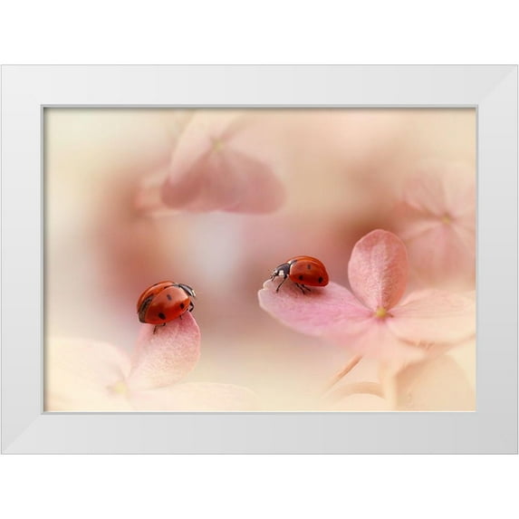 Van Deelen, Ellen 18x14 White Modern Wood Framed Museum Art Print Titled - Ladybirds on pink hydrangea