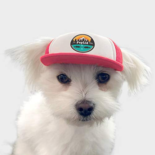 PupLid Trucker Hats for Dogs Small