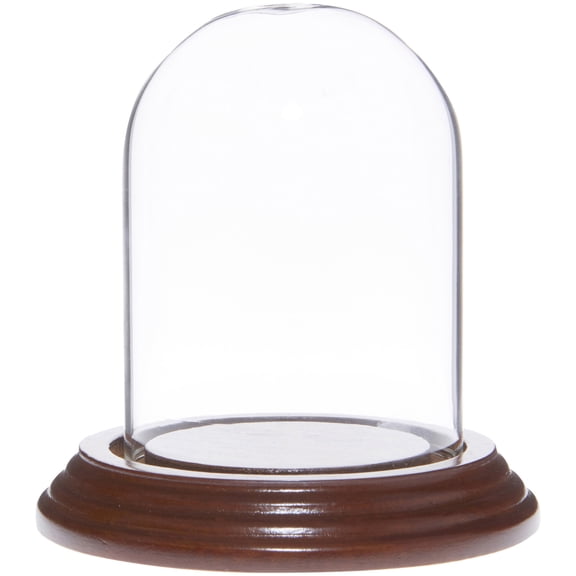Plymor 2.5" x 3.5" Small Glass Display Dome Cloche (Walnut Veneer Base)