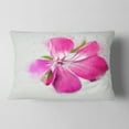 thumbnail image 2 of Designart Full Bloom Pink Flower Watercolor - Floral Throw Pillow - 12x20, 2 of 5