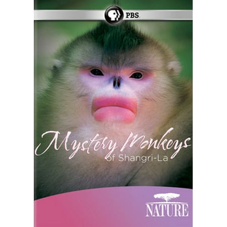 Nature: Mystery Monkeys of Shangri-La (DVD)