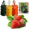 thumbnail image 3 of 3 Gallon Strawberry Planting Bag Pot Planter Growing Gardening Grow Container, 3 of 7