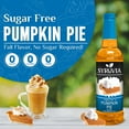 thumbnail image 2 of Syruvia Pumpkin Pie Sugar Free Coffee Syrup No-Calorie Coffee Sauce for Coffee, Lattes, Shakes, Smoothies, Desserts, 25.4 Fl. Oz, 2 of 7