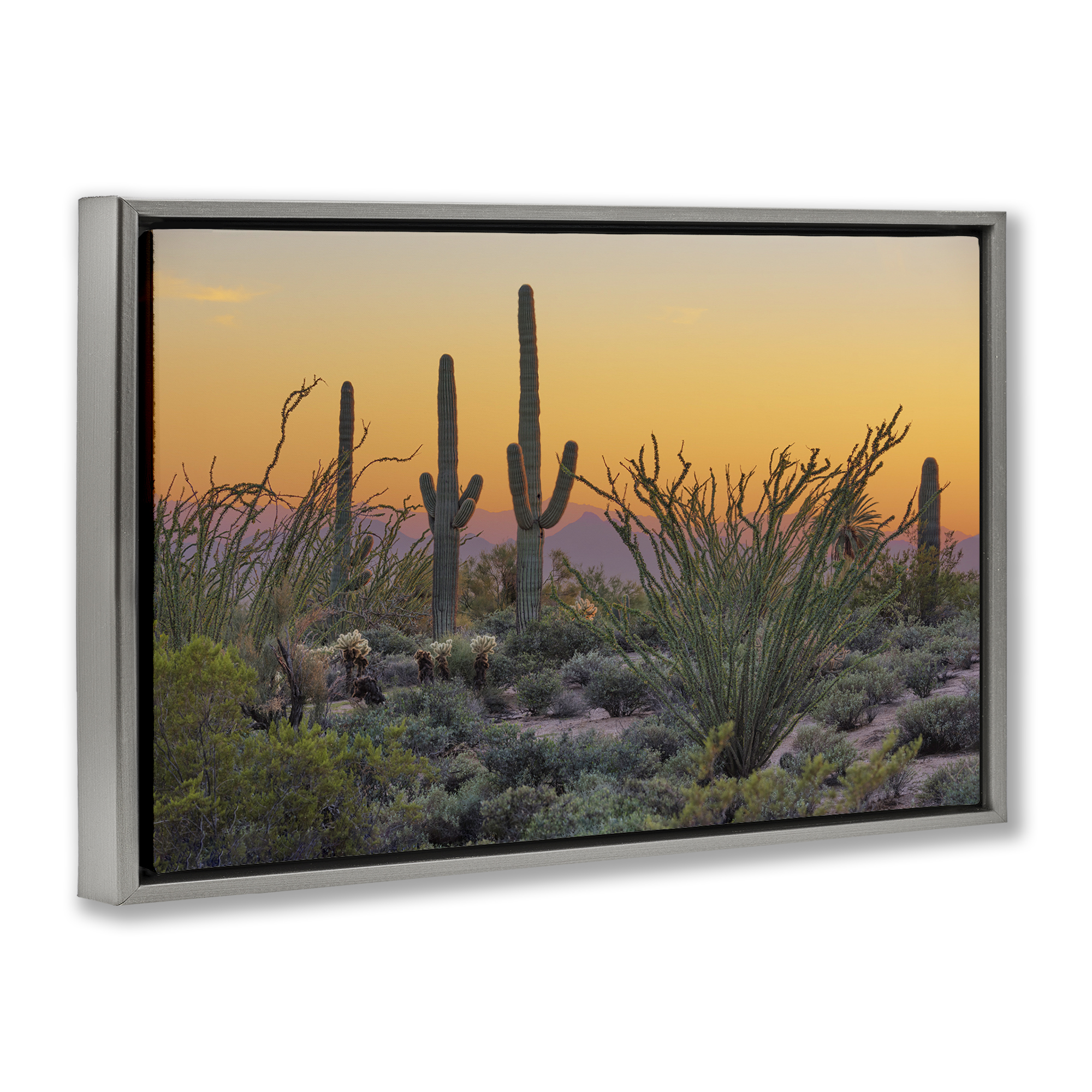 Stupell Industries Sunset Desertscape Cacti Landscape & Nature Photography Gray Floater Framed Canvas Art Print Wall Art, 25 x 17