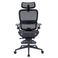 thumbnail image 1 of Silla de oficina SIHOO B100 LITE ergonómica con reposapiés, 1 of 3