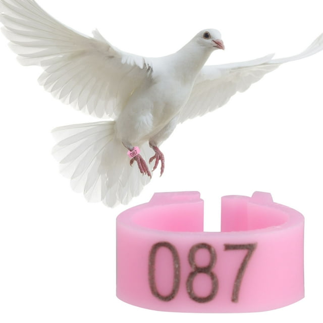 Leg Rings,100Pcs / Bag 8mm 001-100 Numbered Letter Bird Leg Bands Foot Rings Chick Leg Tags for Bird Ducks Chicken Pigeons Goose Poultry