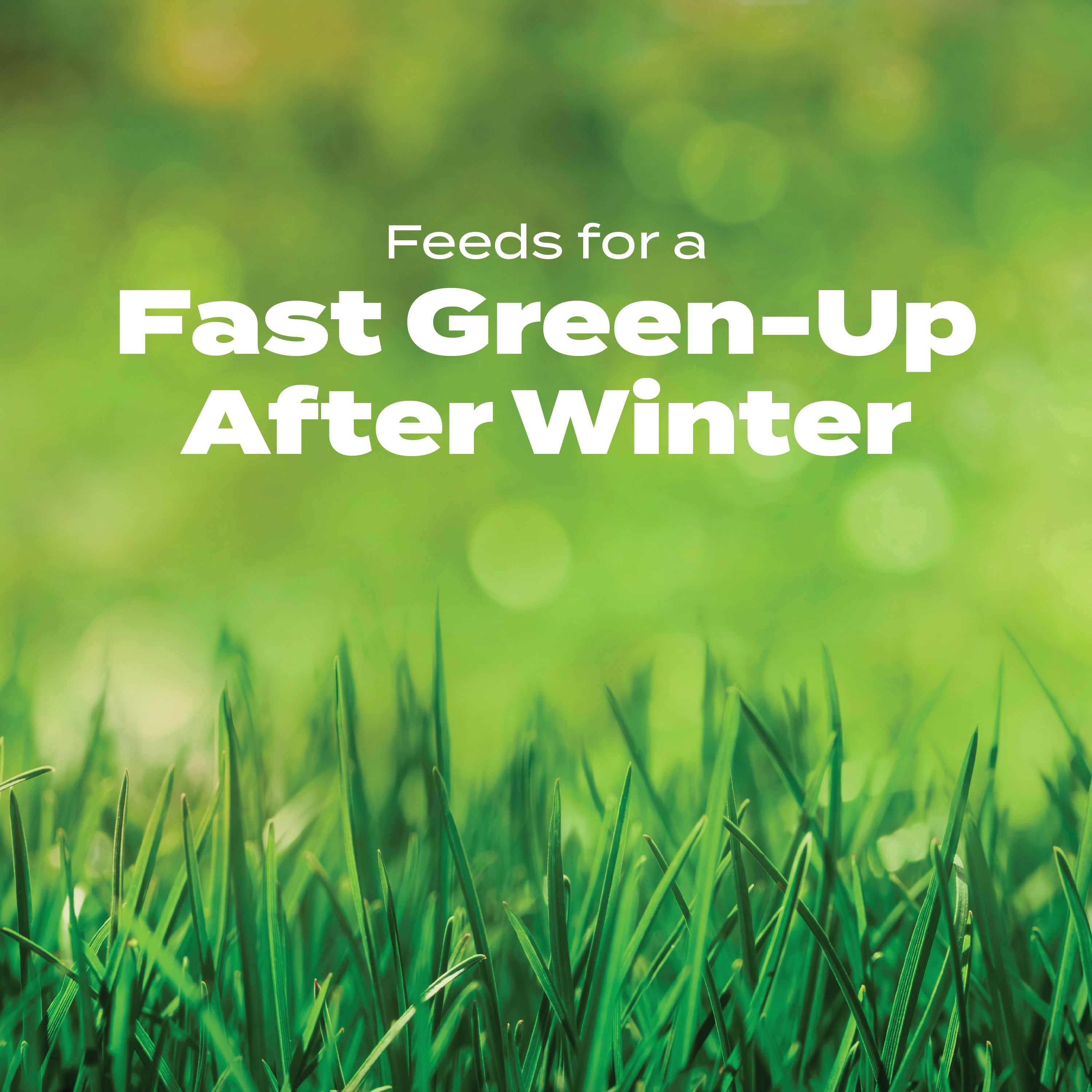 Imagen de producto 5