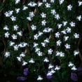 thumbnail image 6 of TiokMc Solar-Powered Fairy Blossom Flower String Lights, 22.96ft 50 LED, Cool White, Outdoor Garden, Patio, Lawn, Christmas Decoration - 2 Pack, 6 of 8
