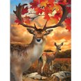 thumbnail image 1 of 5D DIY diamante pintura completo taladro redondo Animal Rhinestone arte artesanía decoración del hogar Hugtrwg Para estrenar, 1 of 9