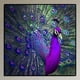 thumbnail image 3 of 5D Bricolaje Taladro Diamante Animal Pintura Bordado Kit Mosaico Arte Artesanía, 3 of 8