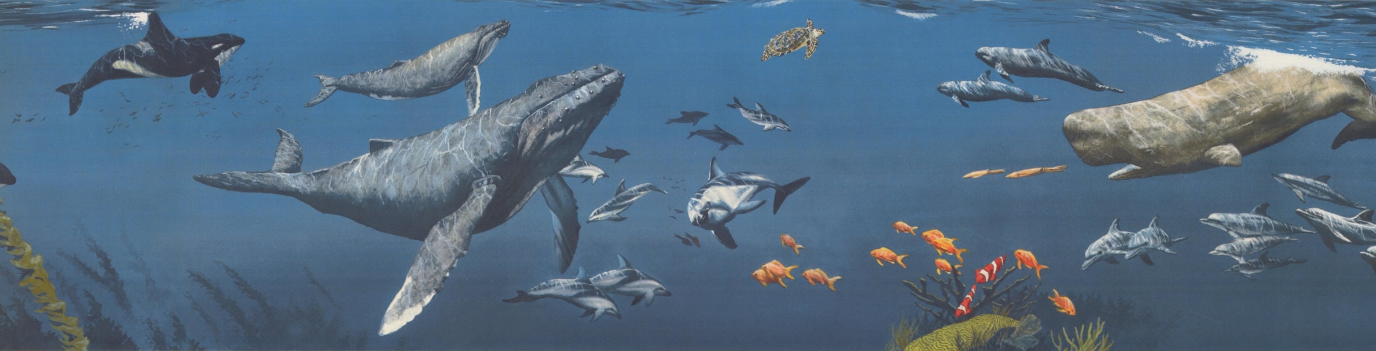 Sharks Whales Underwater Nature Aegean Blue Wallpaper Border Retro Design Roll 15 X 6 Wallpaper Borders Diy Tools Mymobileindia Com