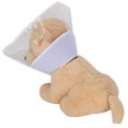 thumbnail image 3 of AMONIDA PVC Cat Cone Collar, Pet Collar, For Pet Collar Neck Collar, 3 of 8