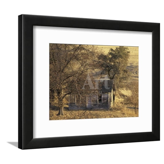 Abandoned Farm House in Wheat Field, Uniontown, Washington, USA, Scenic Framed Art Print Wall Art by William Sutton Sold by Art.Com
