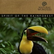 DAVID ARKENSTONE Spirit of the Rain Forest (CD)