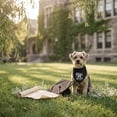 thumbnail image 5 of Graduation Pet Bandana, Funny Graduation Theme Dog Scarf, Reversible Triangle Bib for Graduation Party, Pet Photo Props B, 5 of 7
