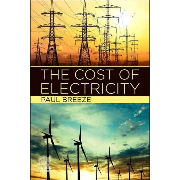 The Cost of Electricity, (Paperback)
