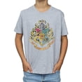 thumbnail image 1 of Harry Potter Boys Hogwarts Crest T-Shirt, 1 of 4