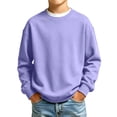 thumbnail image 2 of Boys Sweatshirt Crewneck Pullover Long Sleeve Solid Fleece Tops Fall Clothes, 2 of 5