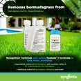 thumbnail image 2 of Herbicida Syngenta Recognition 13 ml + Fusilade II 118 ml, 2 of 2