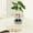 Beige, variant on Ovzne Cute Smiling Little Man Resin Succulent Planter Indoor Outdoor Garden Yard Decor Pot
