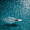 Surfing Man Ocean Waves, variant on Qisvanset Surfing Man Ocean Waves Canvas Wall Art 15.75x11.81 INCHES