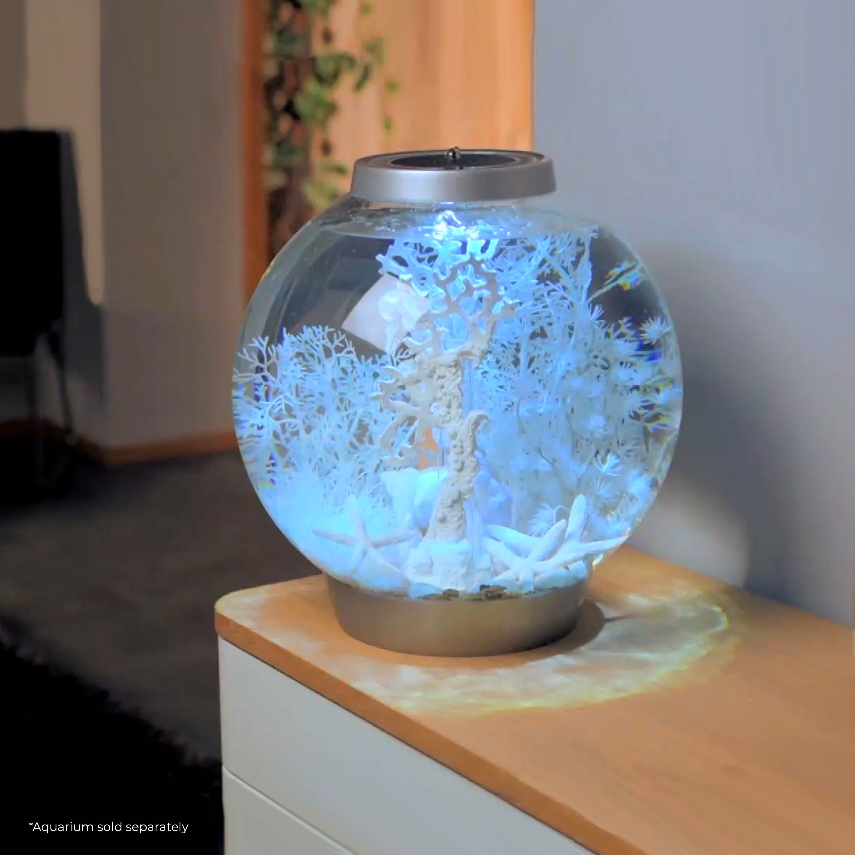 biOrb Winter Dream Aquarium Décor Set, White