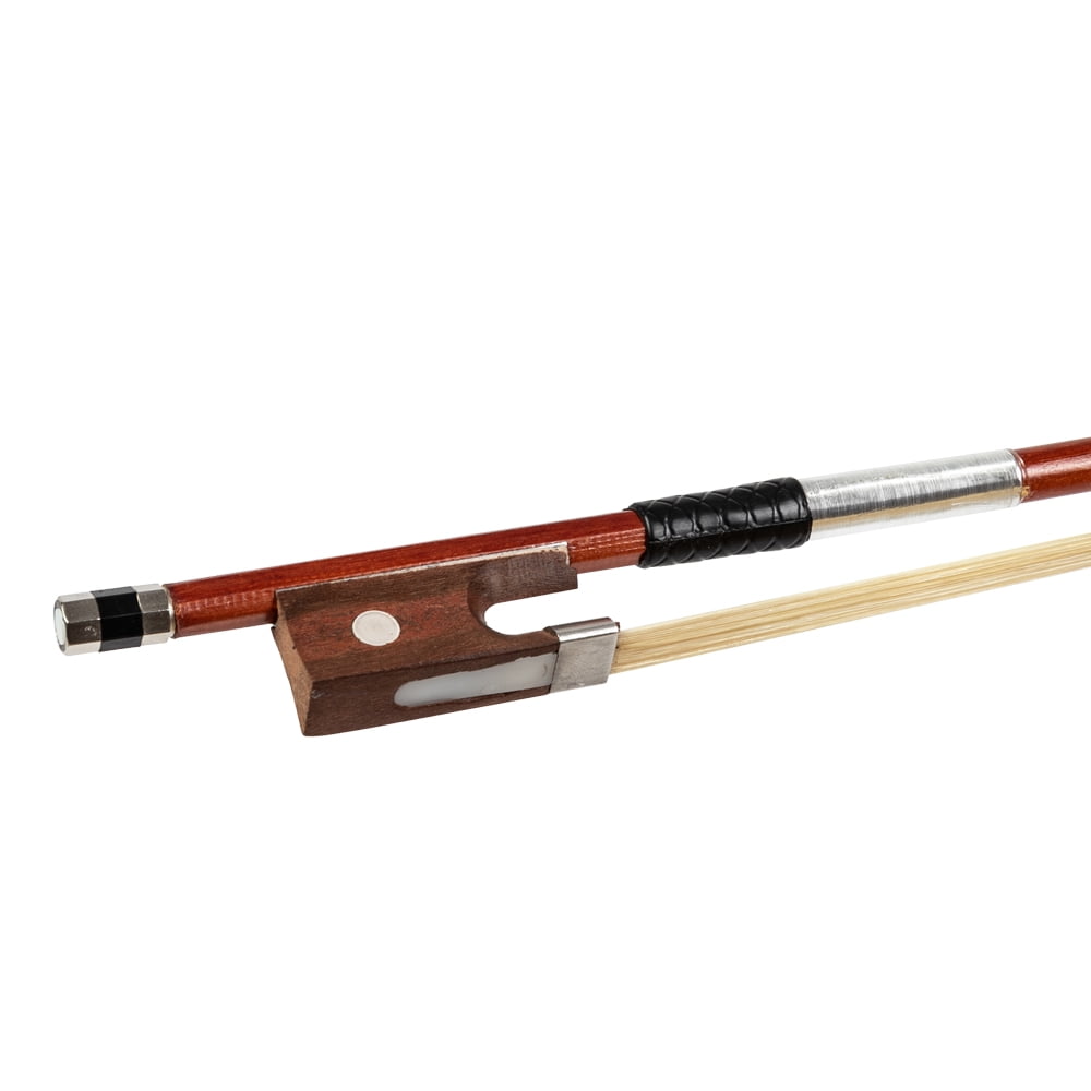 Hassch Gv103 4/4 Spruce Panel Violin Matte Natural