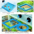 thumbnail image 5 of 2 piezas de anillo de alimentación para peces, alimentador de alimentos flotante seguro para peces, círculo azul, con ventosa, fácil de instalar, acuario, cuadrado y redondo, 5 of 5