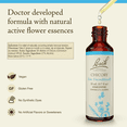 thumbnail image 2 of Bach Original Flower Remedies, Chicory - 20 mL Dropper, 2 of 6