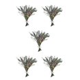thumbnail image 1 of Injueey Paquete de eucalipto seco, fácil de limpiar, elegante para una apariencia realista, ramo de flores secas naturales de eucalipto, 1 of 6