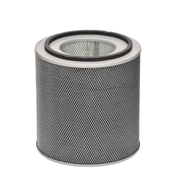 Austin Air FR400A Standard Healthmate Filter, Black