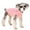 Pink, variant on Small Dog Sweaters Knitted Pet Dog Sweater Winter Dog Clothes Warm Dog Sweatshirt Dog Sweaters for Small Medium Dog Apparel