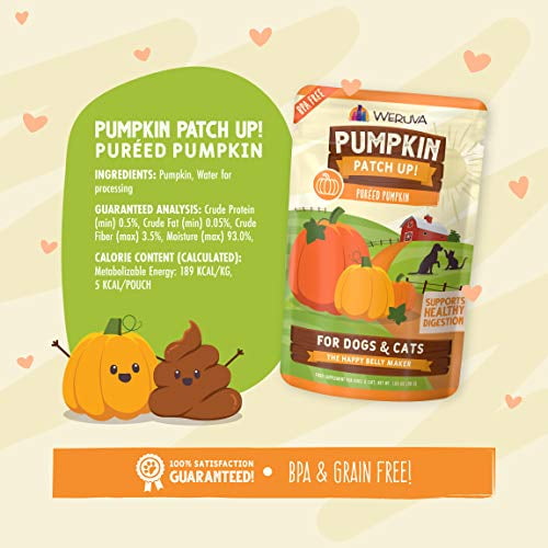 pumpkin pouches for dogs