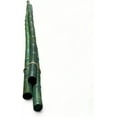 Pack of 3 Bamboo Sticks 6 Feet Long Natural Thick Bamboo Poles 1.5