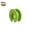 Green, variant on Non-Slip Windproof Clothes Hanger Clips, Round Tube Fixed Buckles for Outdoor Drying Rack