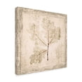 thumbnail image 2 of Trademark Fine Art 'Stone Leaf III' Canvas Art by Irena Orlov, 2 of 4