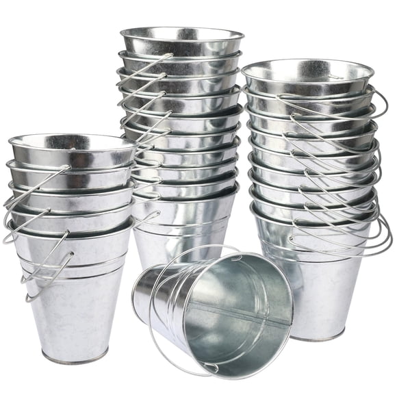 25 Pack 4.5 Inch Mini Metal Buckets, Metal Buckets with Handle, Easter Bucket,Pencil Holder and Flower Pots, Used to Carry, Store, or Even