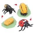 thumbnail image 4 of Juguete modelo de insecto modelo de insecto de simulación no tóxico inodoro inofensivo para niños ANGGREK Otros, 4 of 8
