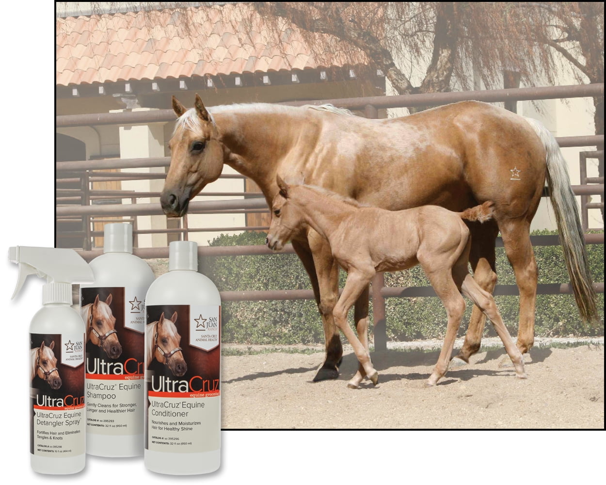 UltraCruz Equine Horse Shampoo and Conditioner Bundle, 32 oz each with 16 oz Detangler